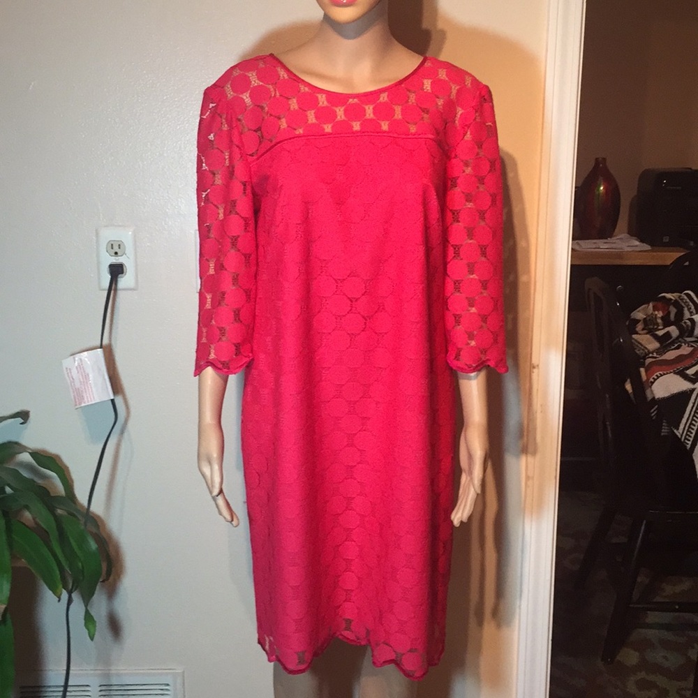 Adrianna Papell beautiful dress
